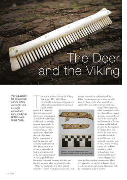 deerandtheviking - University of York