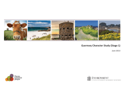 Guernsey Character Study Stage 1