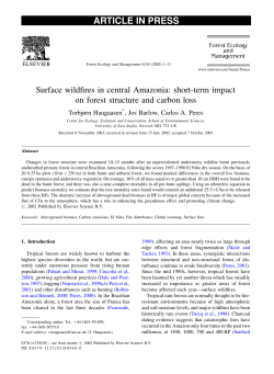 Surface wildfires in central Amazonia: short