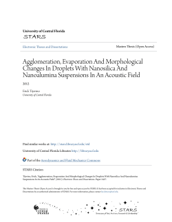 Agglomeration, Evaporation And Morphological Changes