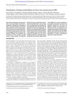Enucleation of human erythroblasts involves non