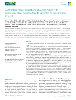 Confronting model predictions of carbon fluxes with measurements