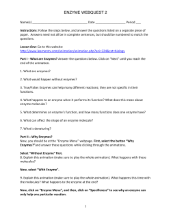 ENZYME WEBQUEST 2
