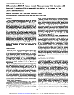 Differentiation of HT-29 Human Colonie