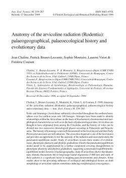Anatomy of the arvicoline radiation (Rodentia): palaeogeographical