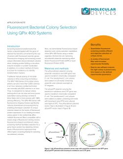 Fluorescent Bacterial Colony Selection Using QPix 400 Systems