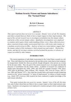 medium Security Prisons and inmate Subcultures