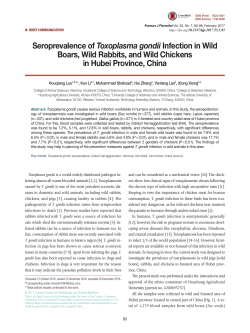 Seroprevalence of Toxoplasma gondii Infection