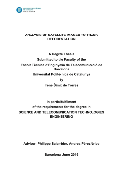 Master`s Thesis