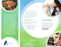 neutering - St&eacute;rilisation animale Qu&eacute;bec