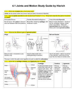 4.1 Joints and Motion Study Guide by Hisrich