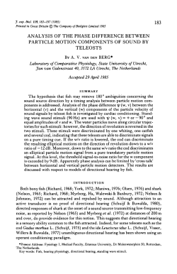 analysis of the phase difference between particle motion