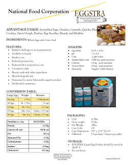 eggstra - National Food