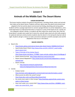 Lesson 4 Animals of the Middle East: The Desert Biome