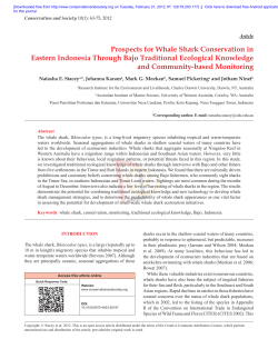 Prospects for Whale Shark Conservation in Eastern Indonesia