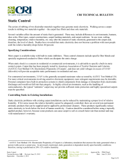 Static Control - Carpet and Rug Institute