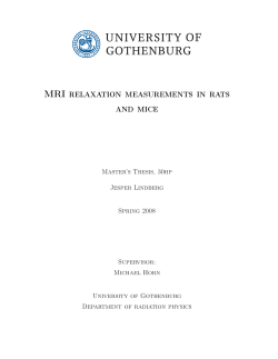 Jesper Lindberg: MRI relaxation measurements in rats and mice