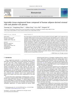 Injectable tissue-engineered bone composed of human adipose