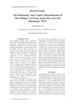 The Husbandry and Captive Reproduction of The Gliding Leaf Frog