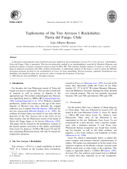 Taphonomy of the Tres Arroyos 1 Rockshelter, Tierra del Fuego, Chile