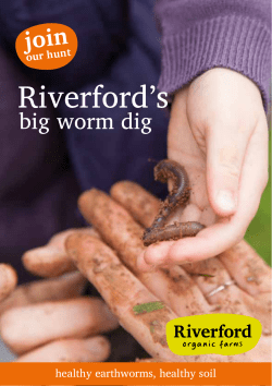 healthy earthworms, healthy soil