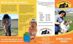 carthage kennel brochure web