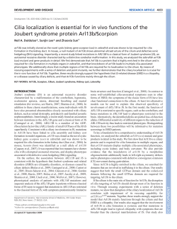 Cilia localization is essential for in vivo functions of