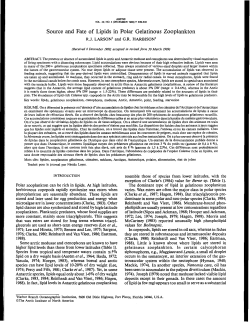 Source and Fate of Lipids in Polar Gelatinous Zooplankton