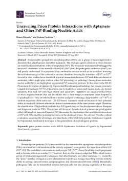 Unraveling Prion Protein Interactions with Aptamers and Other PrP