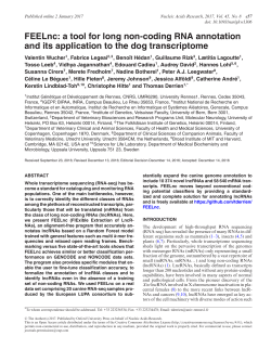 FEELnc: a tool for long non-coding RNA