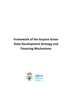 Green State Development Strategy Framework Document