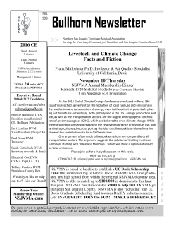Bullhorn Newsletter