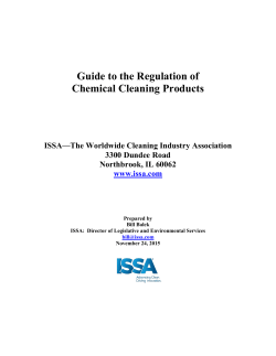 Guide to the Regulation of Chemical Cleaning Products