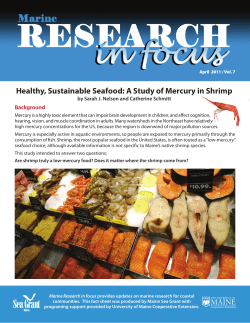 A Study of Mercury in Shrimp - the National Sea Grant Library