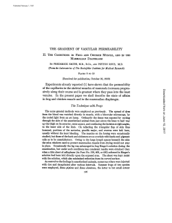 The Technique with Frogs