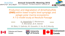 Production and degradation of dimethylsulfide (DMS) within lower