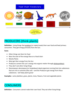 PRODUCERS (think plants) CONSUMERS