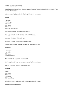 Michel Cluizel Chocolate