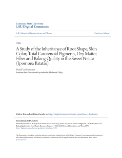 A Study of the Inheritance of Root Shape, Skin Color, Total