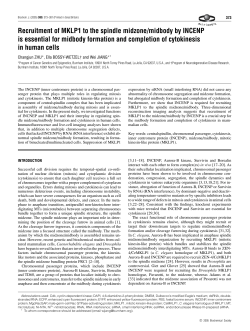 Recruitment of MKLP1 to the spindle midzone/midbody by INCENP