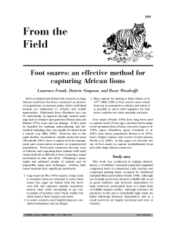 FromTheField 31-1.qxd