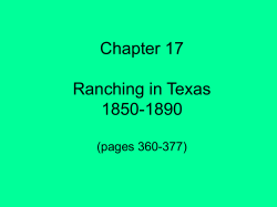 Ranching and Cattle