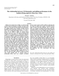 The relationship between 3-D kinematics and gliding performance in