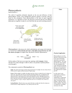 photosynthesis and respiration