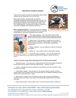 Alternatives to balloon releases 2