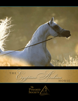 as Published by Arabian Horse World