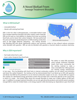 Biofuel Brochure - Vitruvian Energy