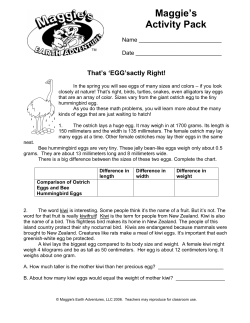 EGG - Maggie`s Earth Adventures