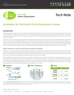 Strategies for Successful Gene Expression Assays