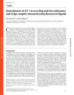 Cl - The Journal of Cell Biology - The Rockefeller University Press